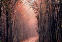 黄黑风暴席卷！多特蒙德胜利凯歌，士气如虹再攀新高峰