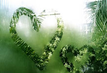 法兰克福的凯歌：一场胜利，点燃无限可能