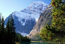 法兰克福的凯歌：一场胜利，点燃无限可能