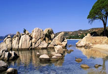 蓝色信仰，黄海骄阳：青岛黄海国际赛场凯旋，点燃蓝色梦想！