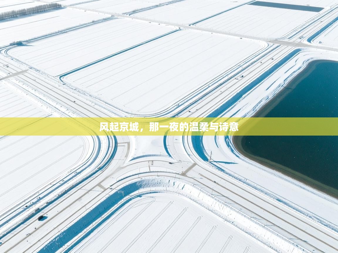 风起京城，那一夜的温柔与诗意