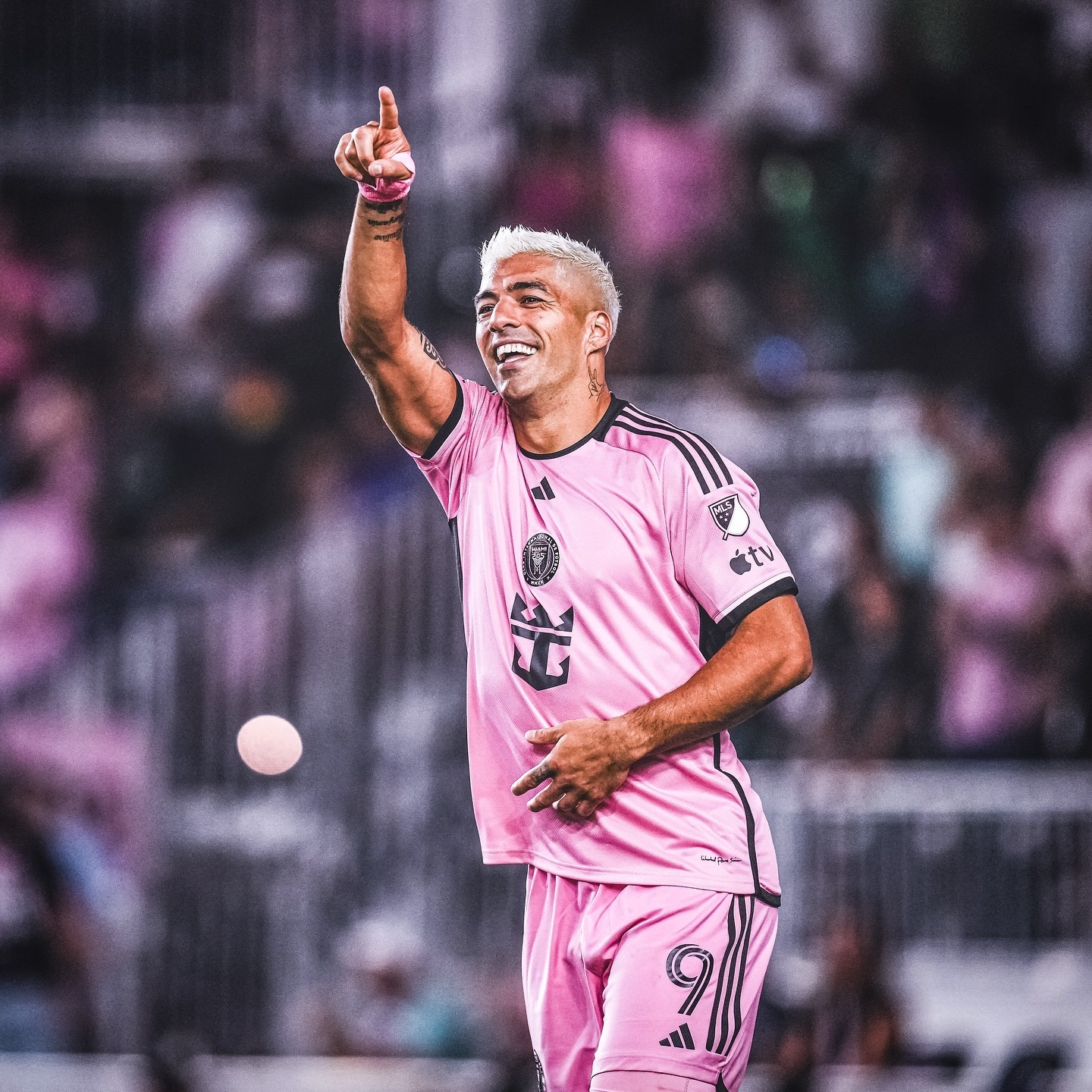 包含苏亚雷斯转会至意甲球队，球迷期待他的表现的词条